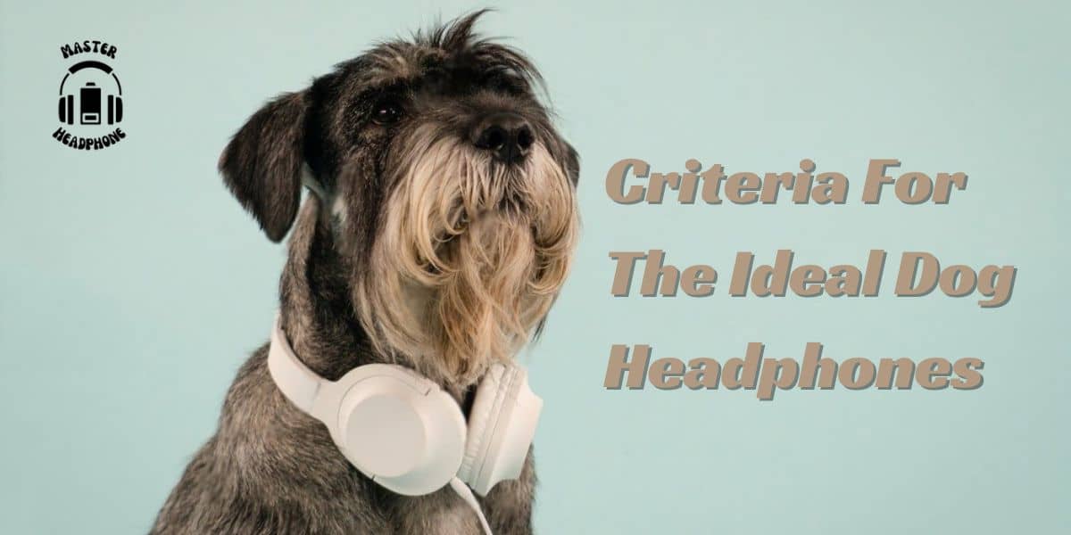 noise cancelling headphones for dogs
