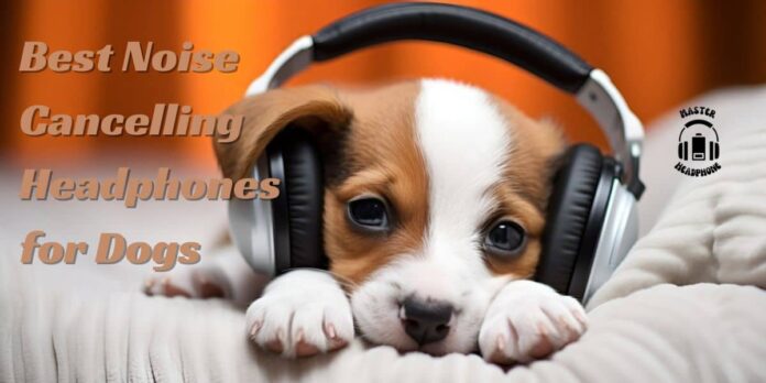 noise cancelling headphones for dogs